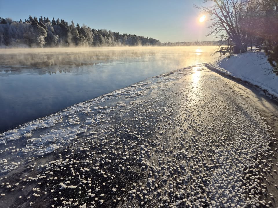 Ur föreställningen Euphoria 2023.