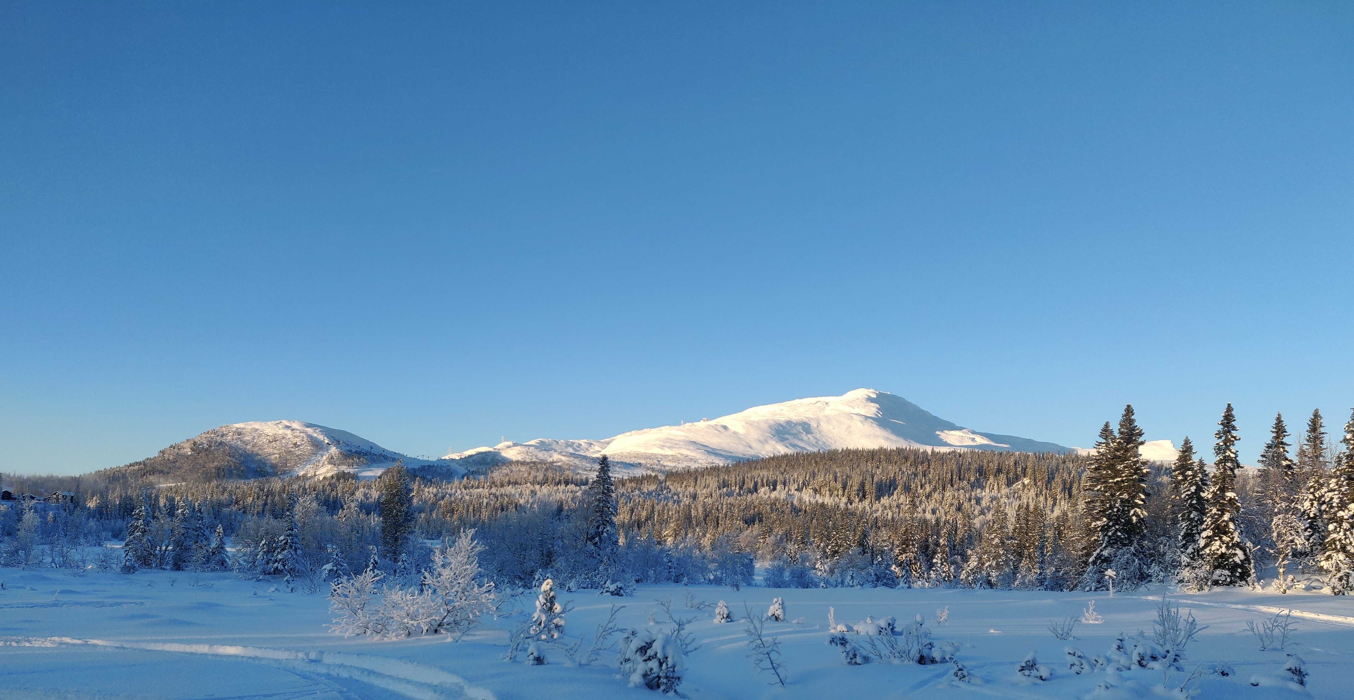 Ur föreställningen Euphoria 2023.