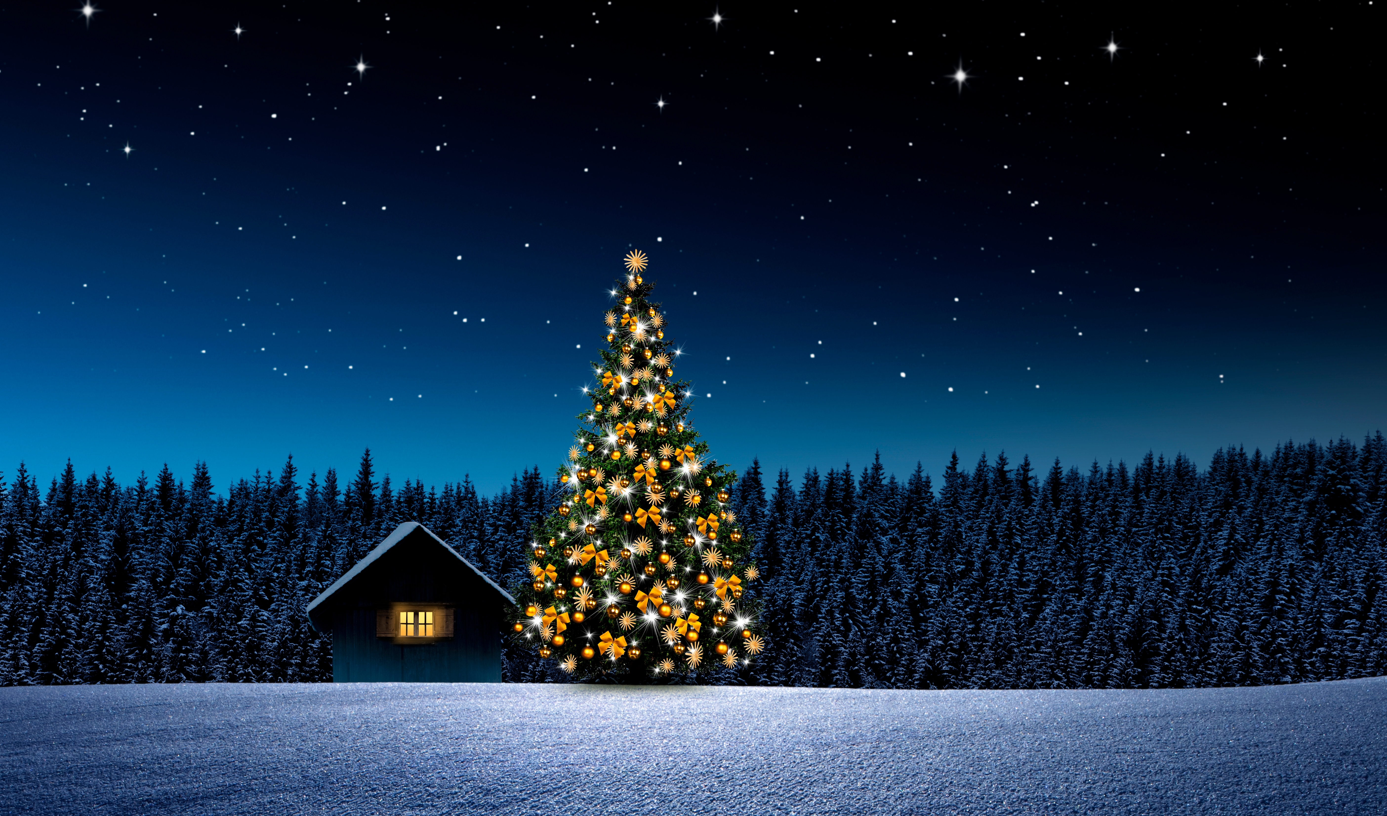 Ur föreställningen Euphoria 2023.