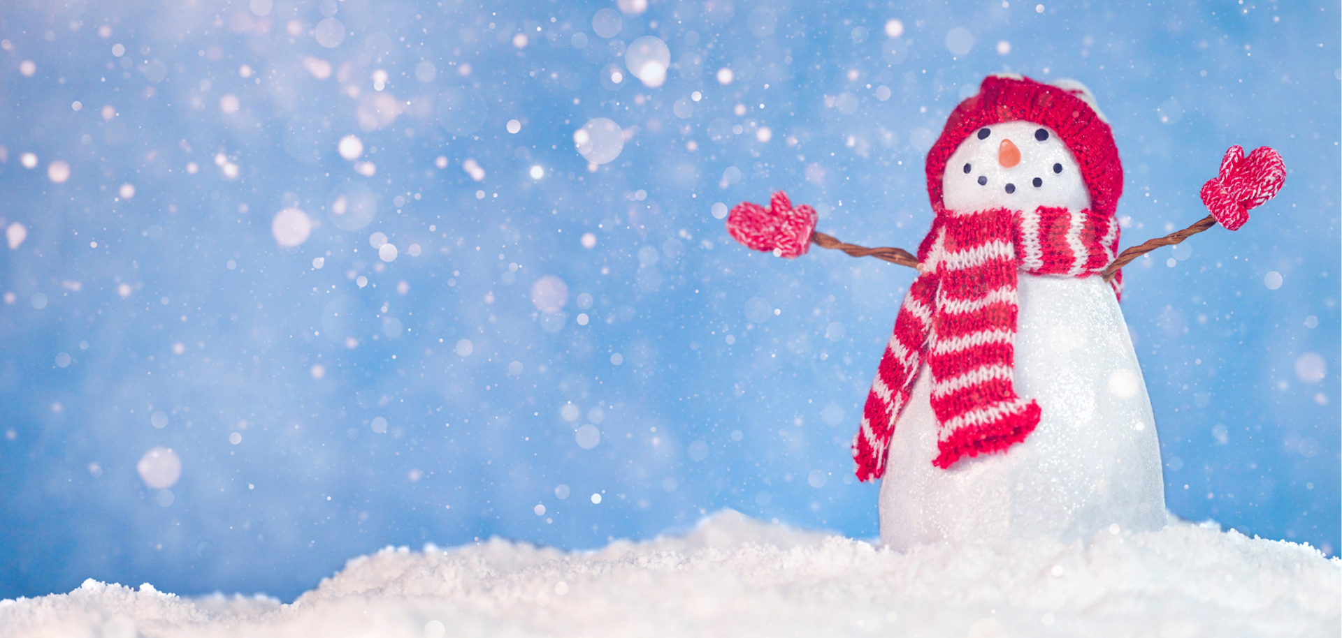 Ur föreställningen Euphoria 2023.