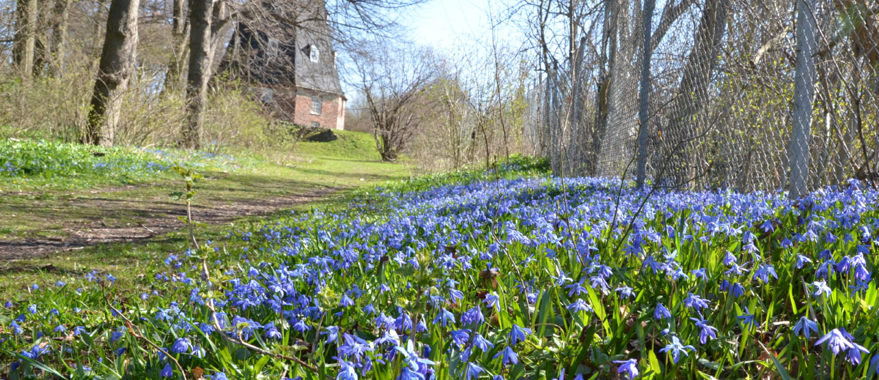 Foto: Johanna Liwenborg