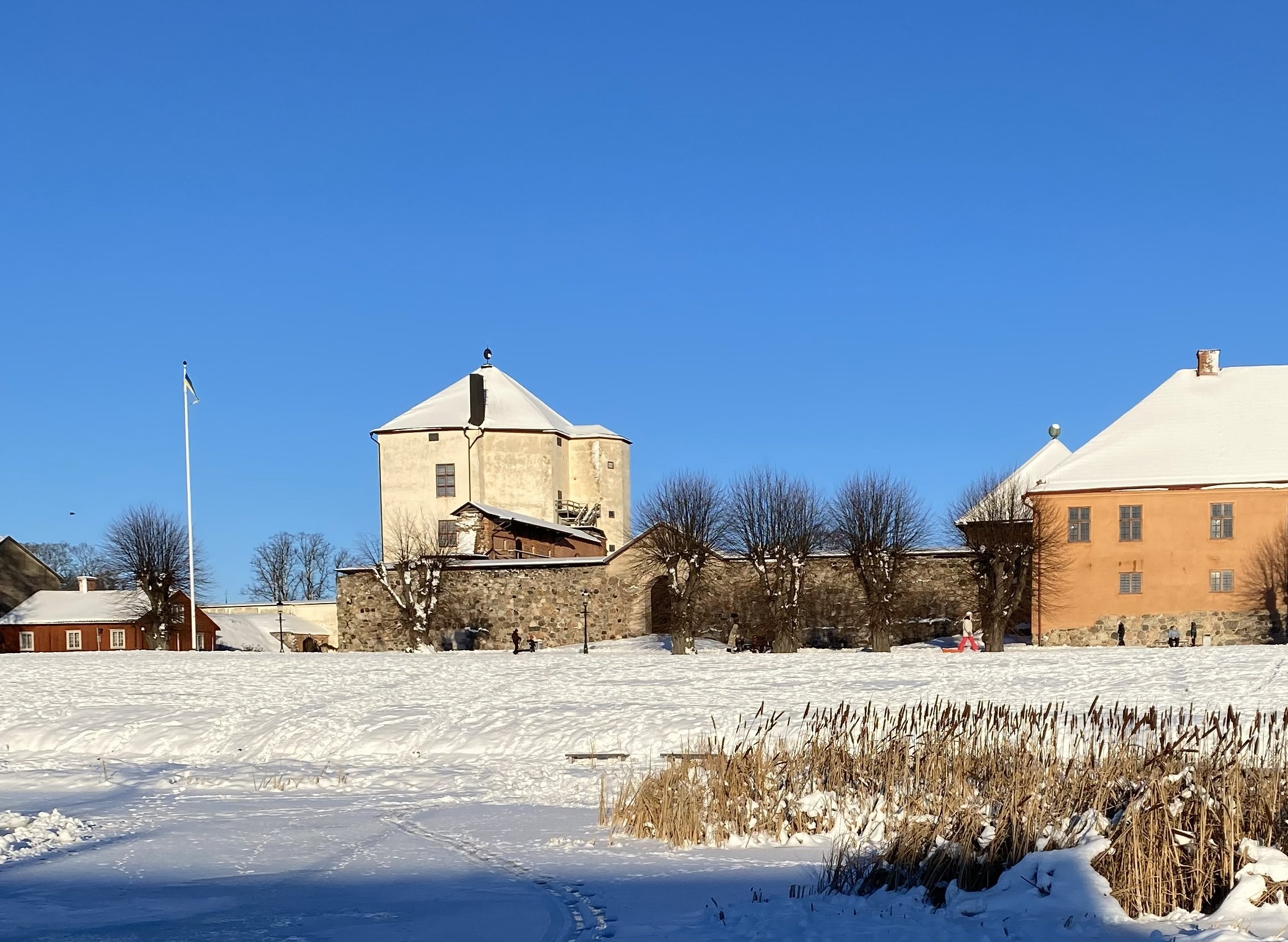 Ur föreställningen Euphoria 2023.