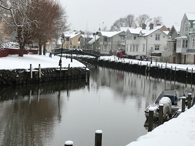 Ur föreställningen Euphoria 2023.