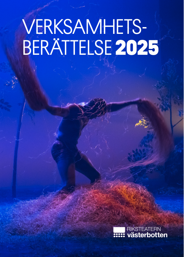 Verksamhetsber&auml;ttelse 2025
