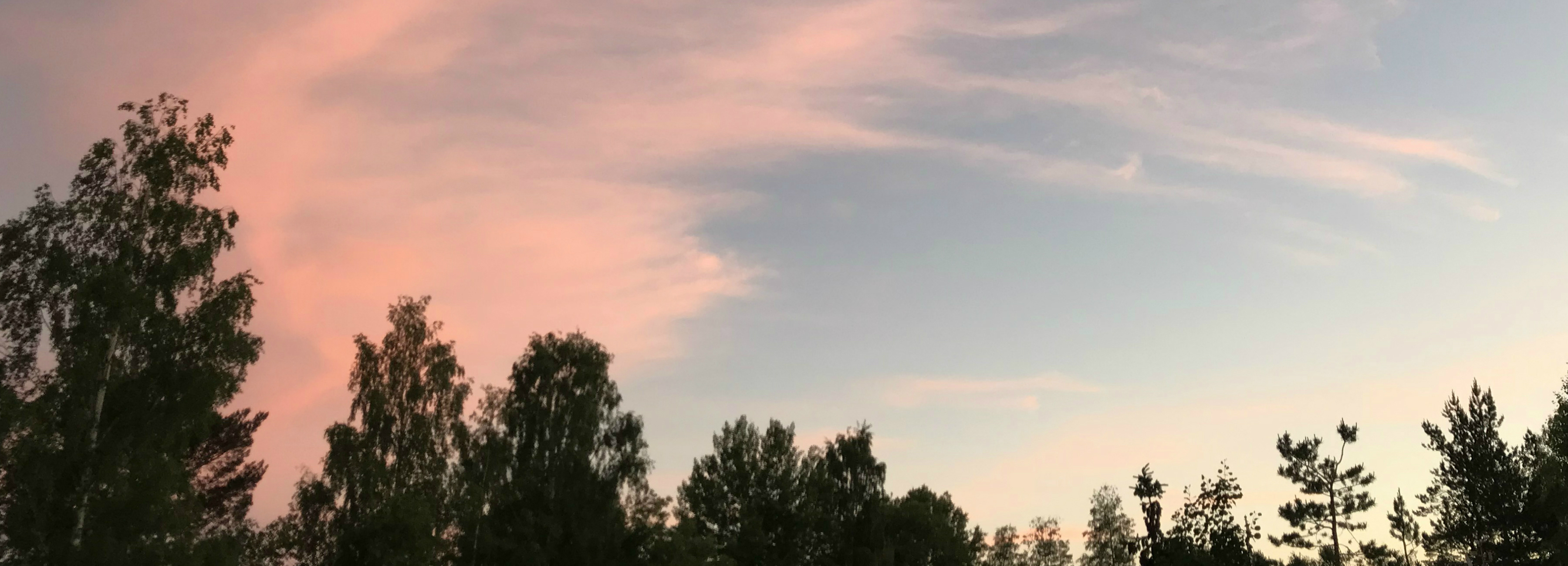 Foto: Rita Pascácio