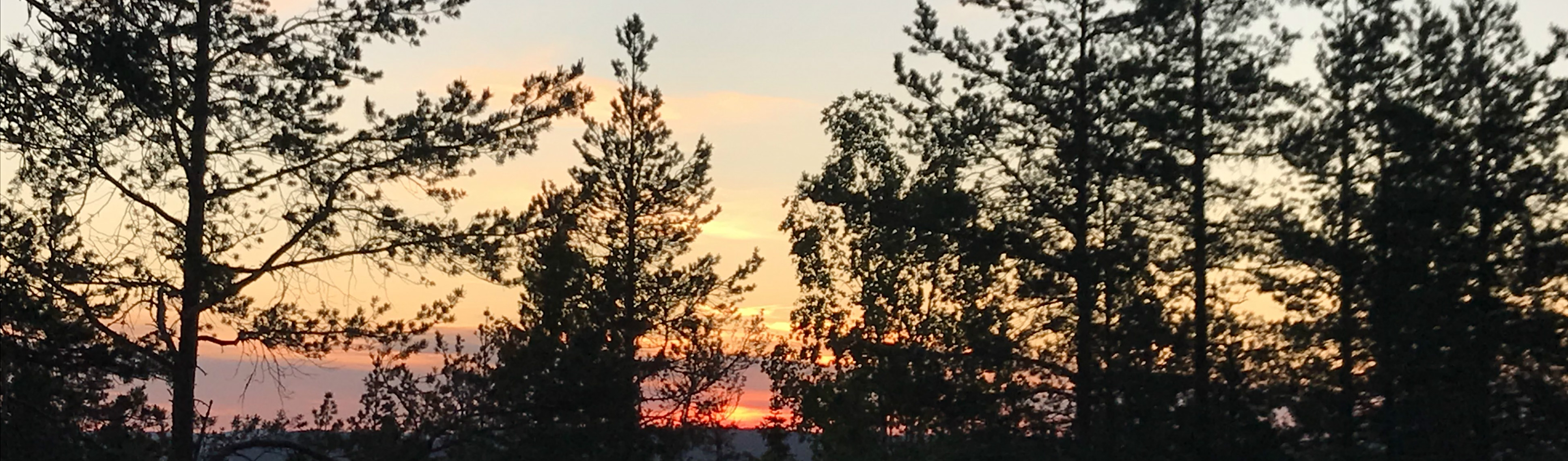 Ur föreställningen Euphoria 2023.